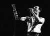 photo Mercury Freddie (Freddie Mercury)
