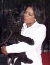 photo Oprah Winfrey (Oprah Winfrey)