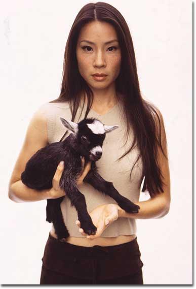    (Lucy Liu)