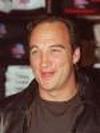    (James Belushi)