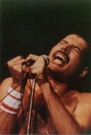    (Freddie Mercury)