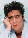     (Benicio del Toro)