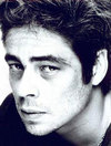     (Benicio del Toro)