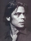     (Benicio del Toro)