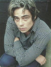     (Benicio del Toro)