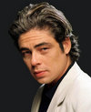     (Benicio del Toro)